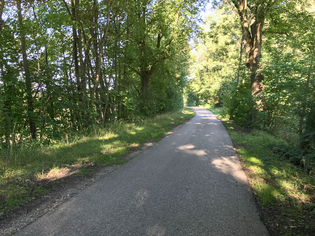 Radweg an der B11 zwischen Moosburg und Landshut