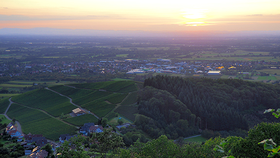 Abendliche Aussicht von Burg Windeck über das Rheintal zu den Vogesen